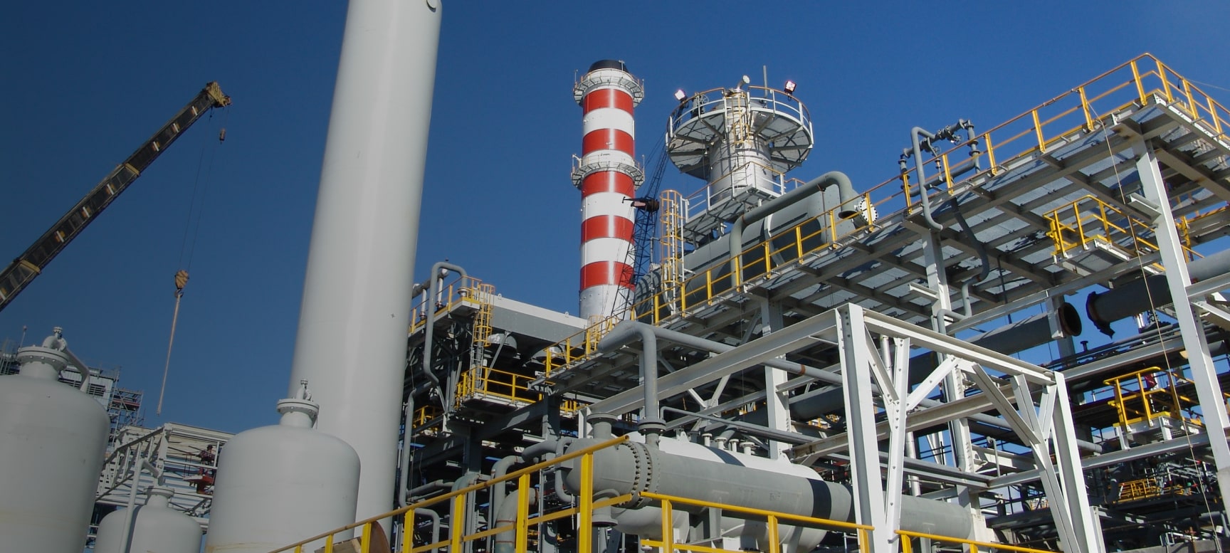 Casale | Plants for a new planet