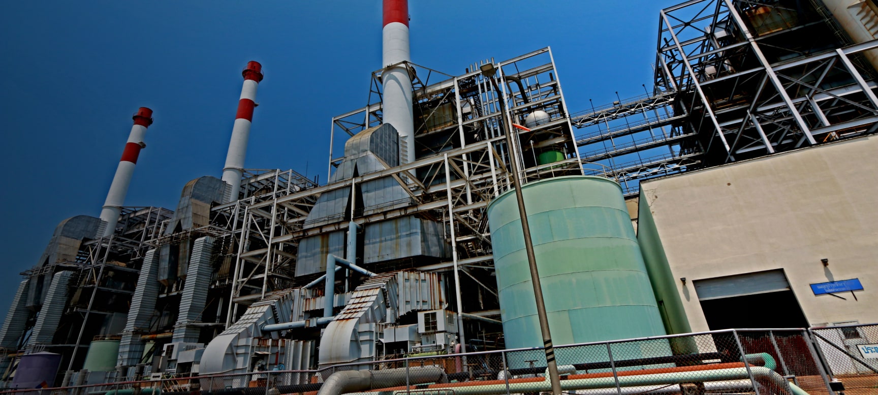 Casale | Plants for a new planet